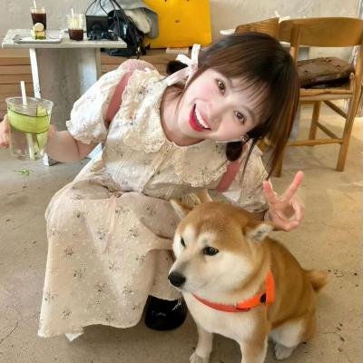 蝴蝶夫人的现代家庭